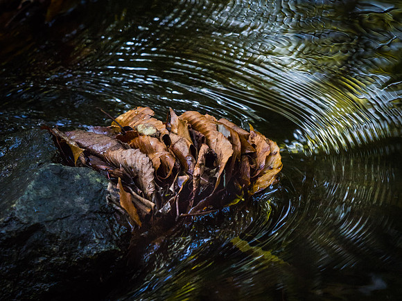 20171002_104