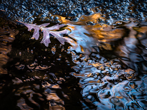 20191126_049