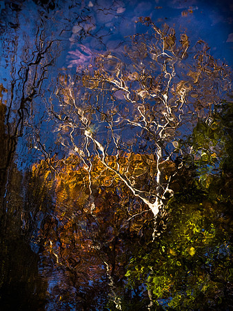 20181111_095