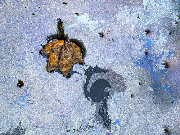 20250919-352