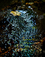 20251001-343