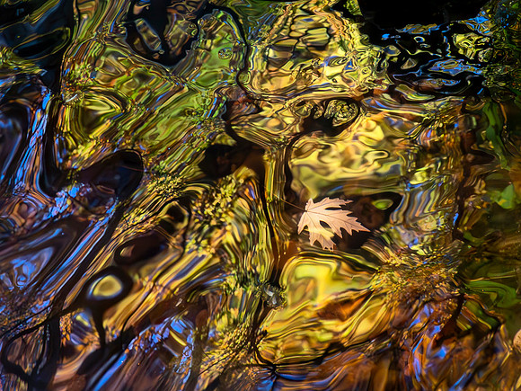20251108-482