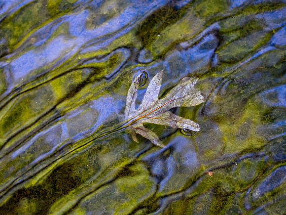 20190416_077