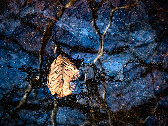 20210315-128
