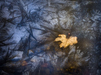20180101_026