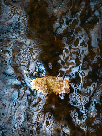 20191205_251