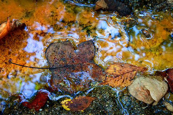 20131005_340