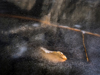 20150220_085