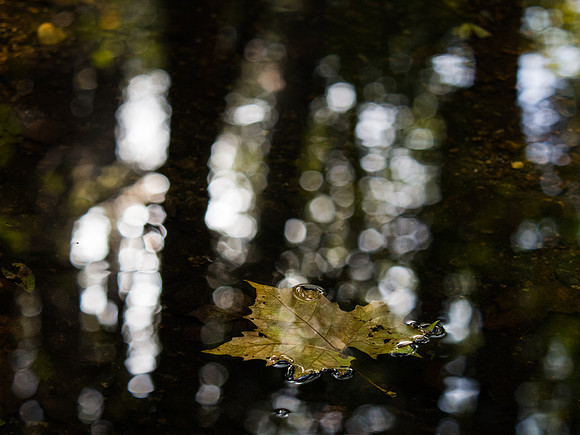 20181023_058