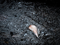 20220130-001