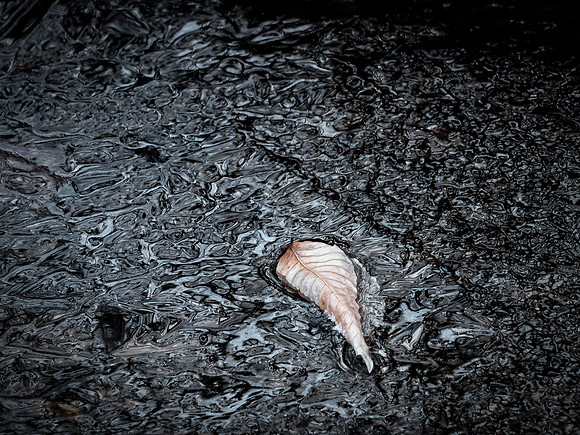 20220130-001