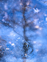 Winter and Ice