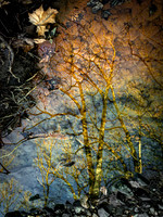20210121-014
