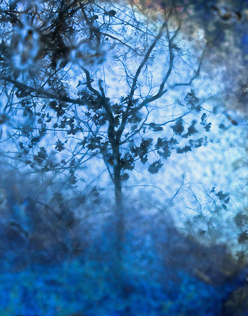 20131218_327