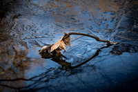 20190122_023