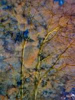 20210124-003