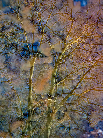 20210124-003