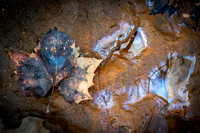 20210308-023