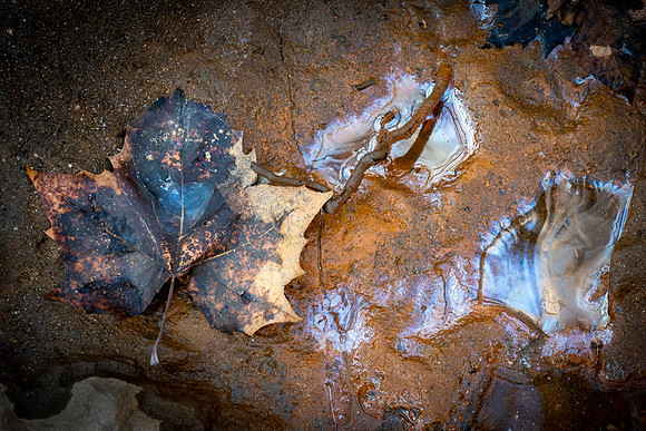 20210308-023