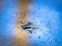 20160228_089
