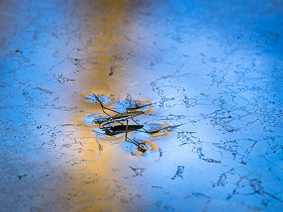 20160228_089