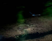 20210618-571