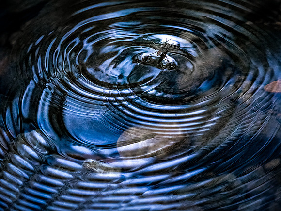 20210904-006