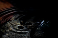 20201003-646