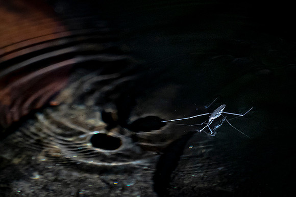 20201003-646