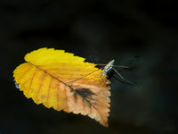 20161110_623