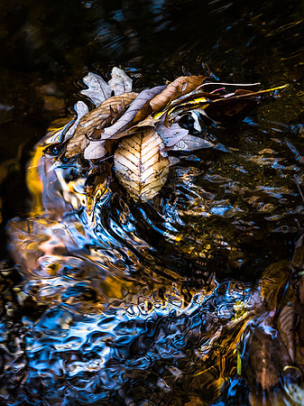 20151108_277