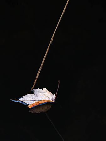 20201109-198
