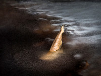 20150220_101