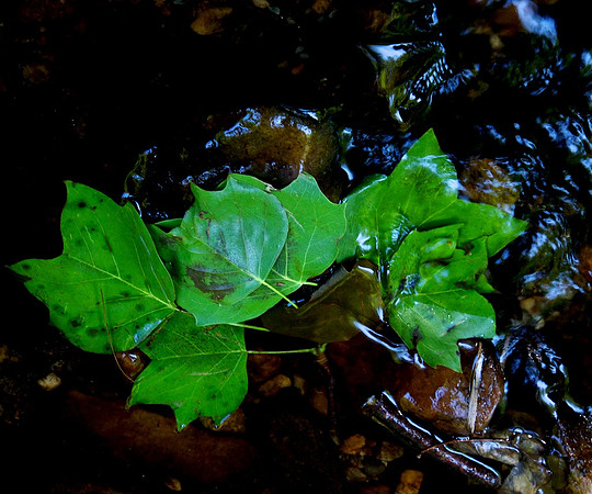 20120702_196