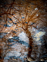 20210308-014