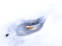 20150220_181