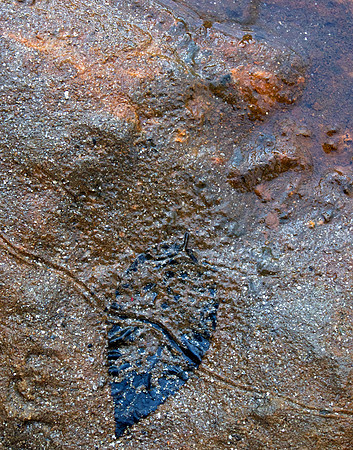20130329_034