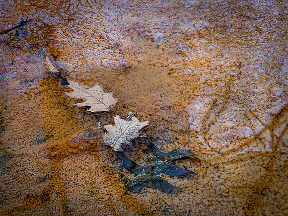 20210124-015