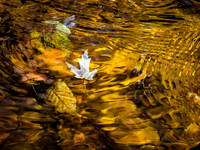 20191121_242