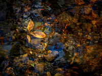 20191129_230