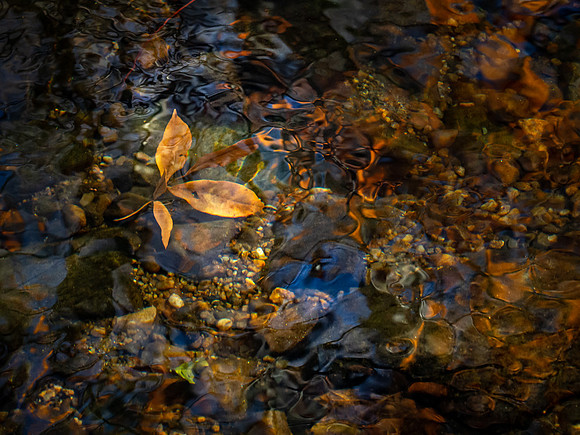 20191129_230