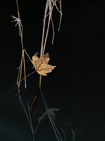 20201109-152