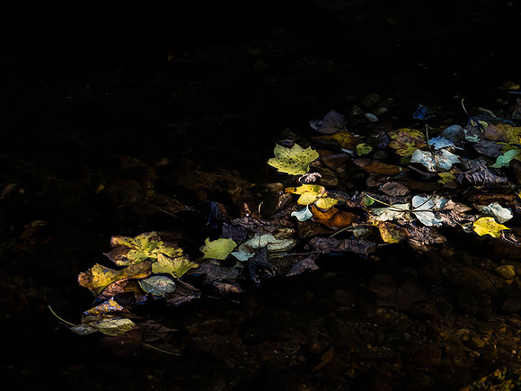 20141004_031