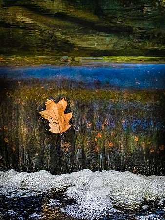 20201110-317-Edit