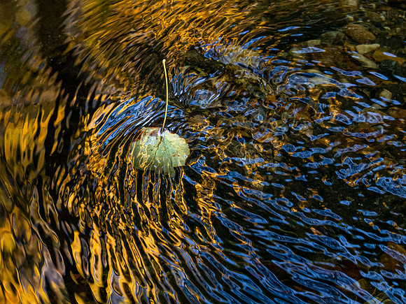 20191103_174