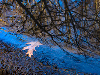 20161203_237