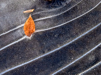 20220108-196
