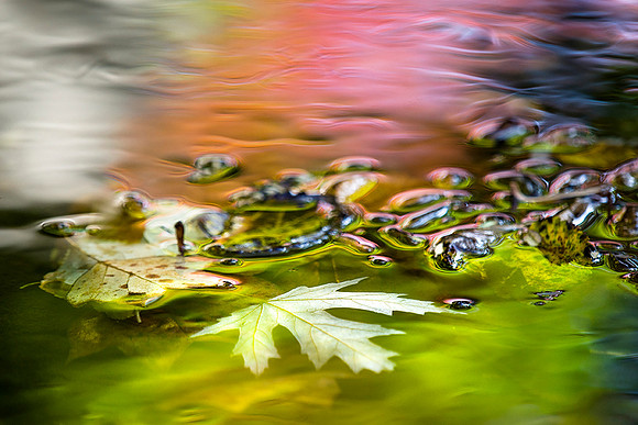 20161029_339