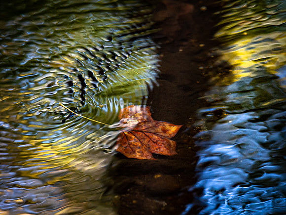 20191011_150