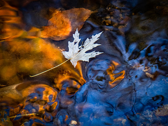20191121_027